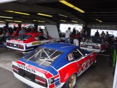 Lots-o-Datsuns [vin #6 -the posey car] and others