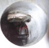N47 exhaust port_thumb.jpg