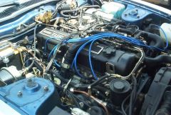 Passenger view of engine compartment