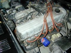 Pics of the seized 76 motor to come out