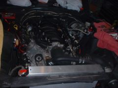 LS1 Runs