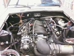 Ls1 Harness and chassis harness