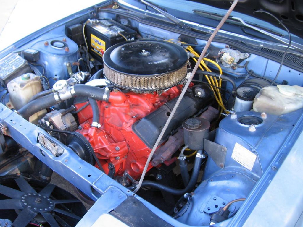 v8 Z31