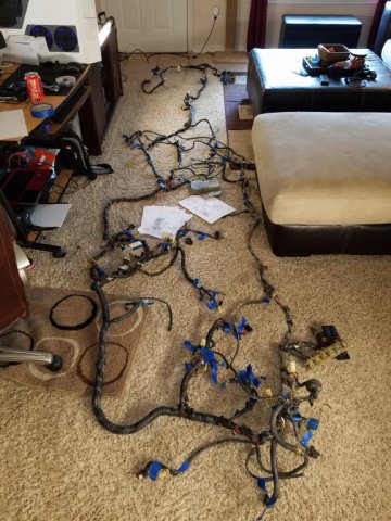 post-1999-0-06424600-1476208448_thumb.jp