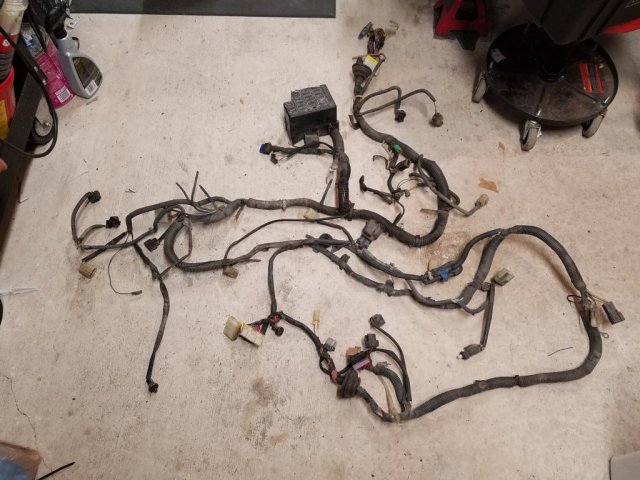 post-1999-0-47415100-1476208621_thumb.jp