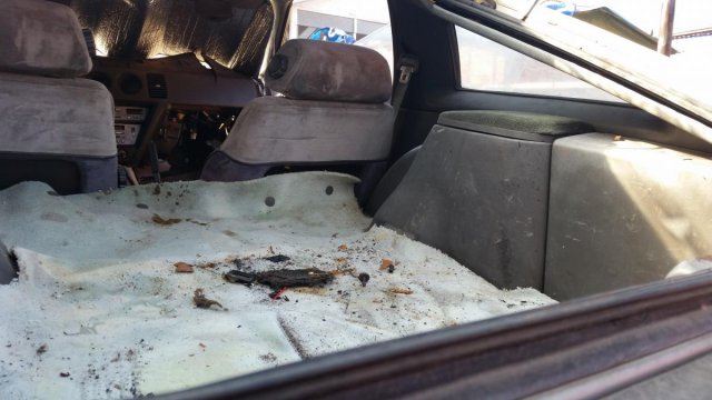 post-1999-0-51922700-1476208095_thumb.jp