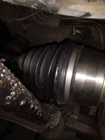 2018-04-15 14.43.07.jpg