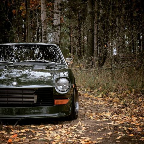 datsun.jpeg