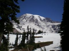 hiking to 10,000 feet in spring from Paradise to camp Muir , Mt Rainier